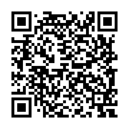 QR code for YNL992