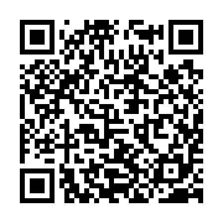 QR code for YNQ795