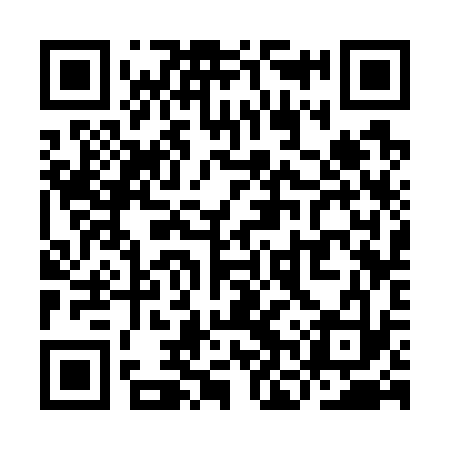 QR code for YNS733