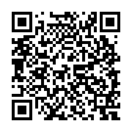 QR code for YNT391