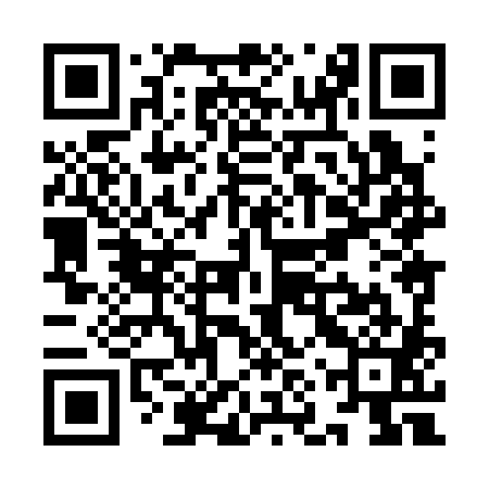 QR code for YNX381