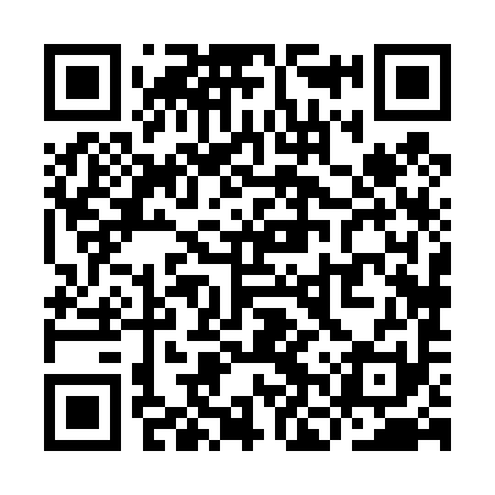QR code for YNX491
