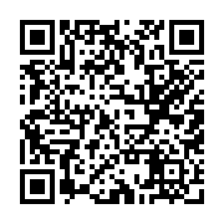 QR code for YOU381