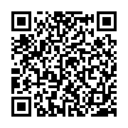 QR code for YOW313
