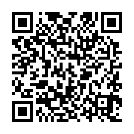 QR code for YPD381