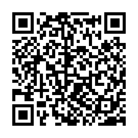 QR code for YPE211