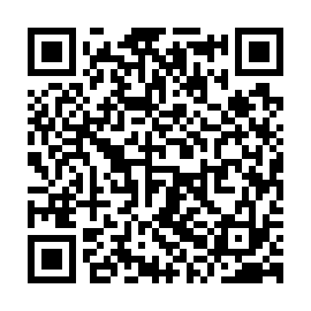 QR code for YPE733