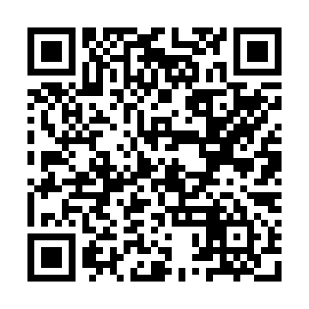QR code for YPF295
