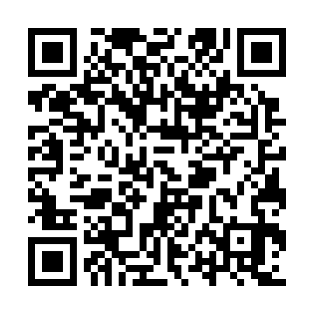 QR code for YPG333