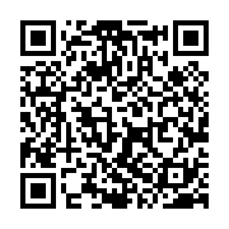 QR code for YPL031