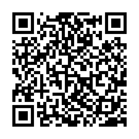 QR code for YPL271