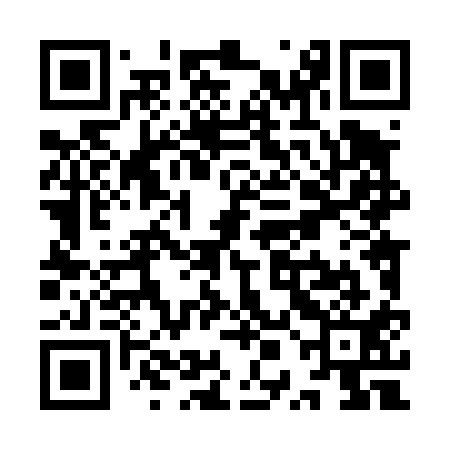QR code for YPL411