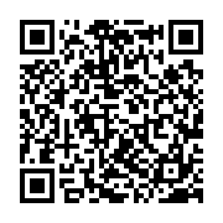 QR code for YPL737