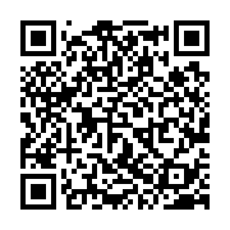 QR code for YPL739