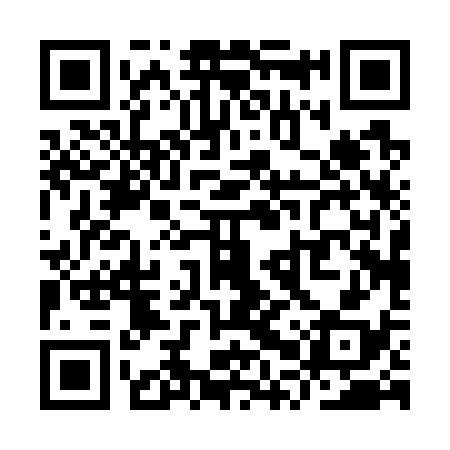 QR code for YPP738