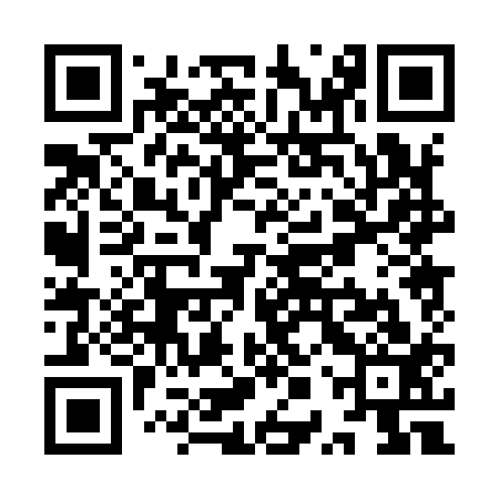 QR code for YPP913