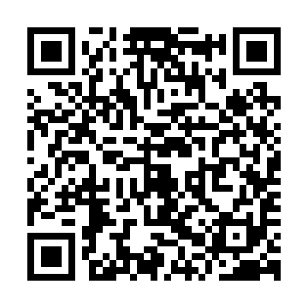 QR code for YPS291