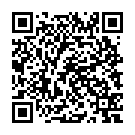 QR code for YPT335