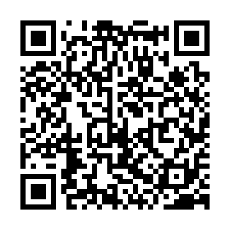 QR code for YPV311