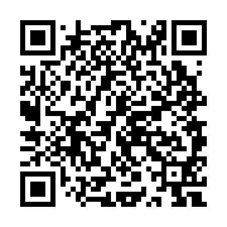 QR code for YPV390