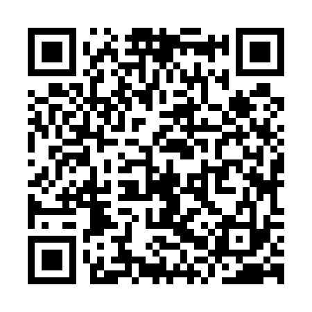 QR code for YPZ533