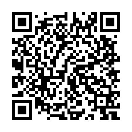 QR code for YPZ560