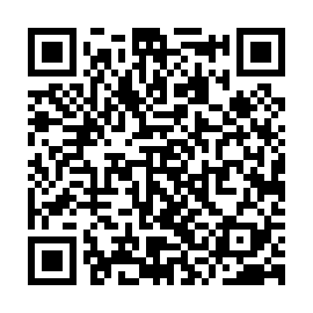 QR code for YSD029