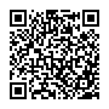 QR code for YSF046