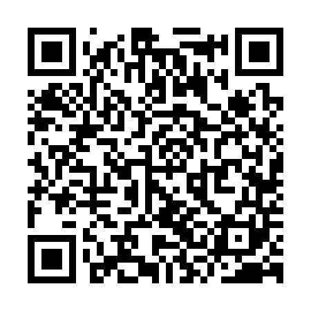 QR code for YSF341