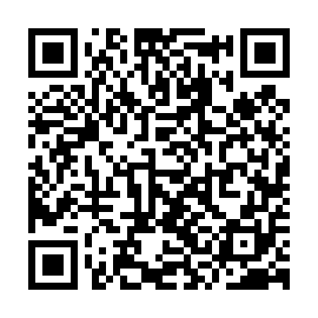 QR code for YSF450