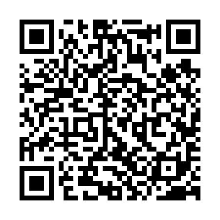 QR code for YSF691