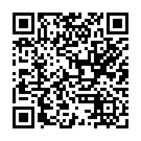 QR code for YSF919
