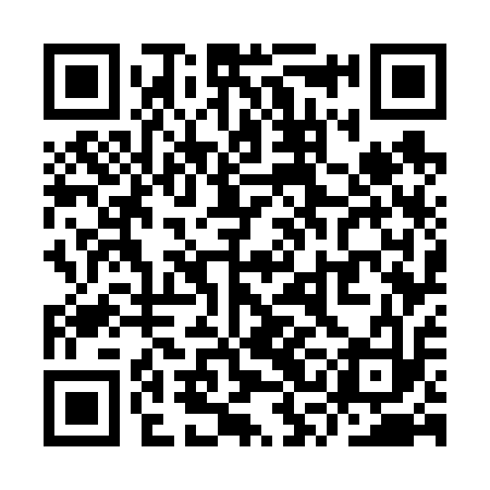 QR code for YSG613