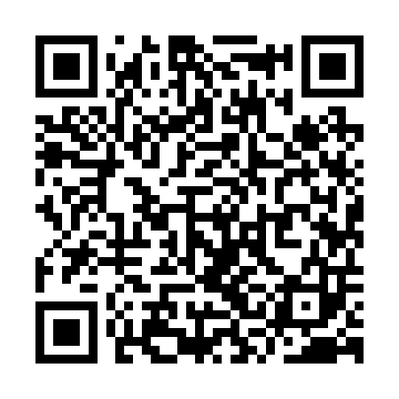 QR code for YSI203