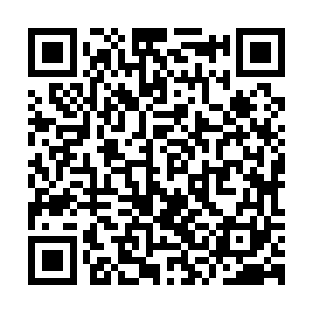 QR code for YSJ161