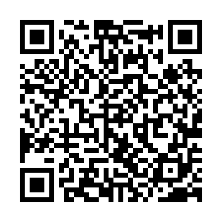 QR code for YSL250