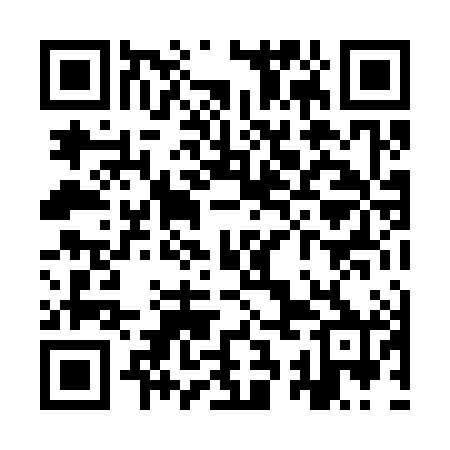 QR code for YSL380