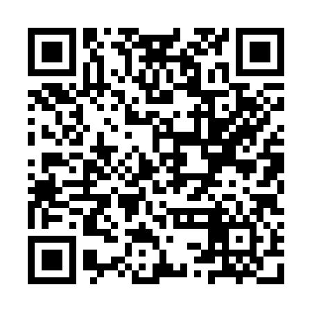 QR code for YSL386