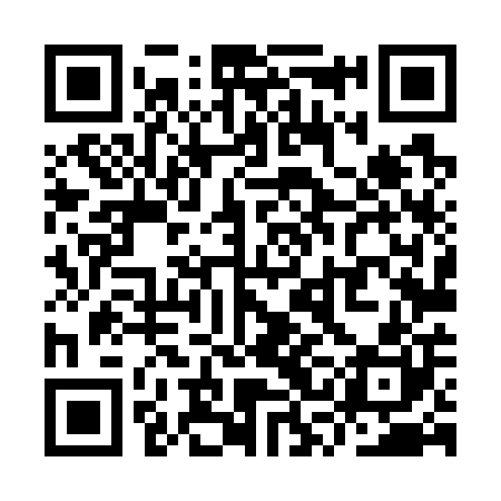 QR code for YSL700
