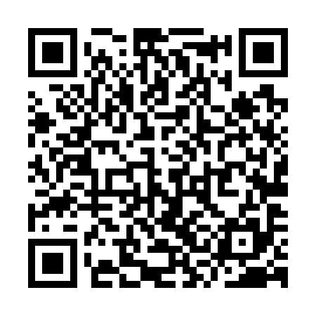 QR code for YSL795