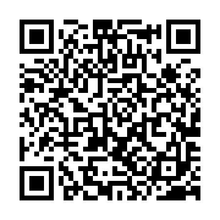 QR code for YSL993