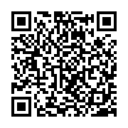 QR code for YSN991