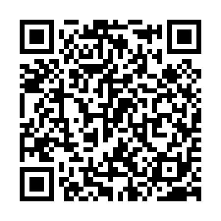 QR code for YSS011