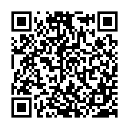 QR code for YSS306