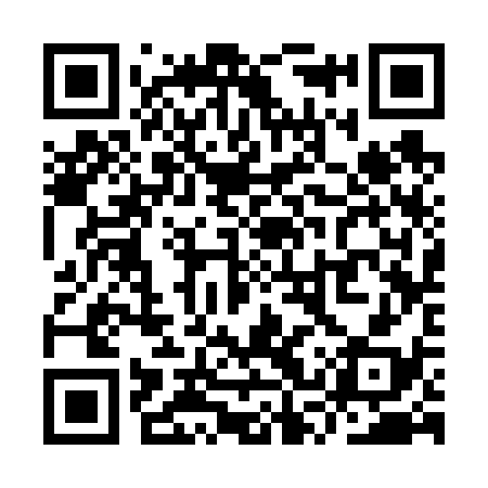 QR code for YSS638