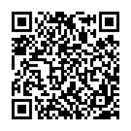 QR code for YST696