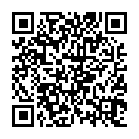 QR code for YSV005