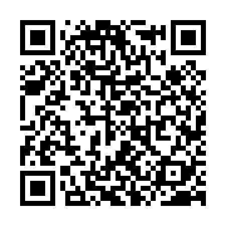 QR code for YSV029