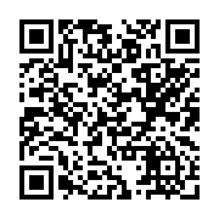 QR code for YTZ295