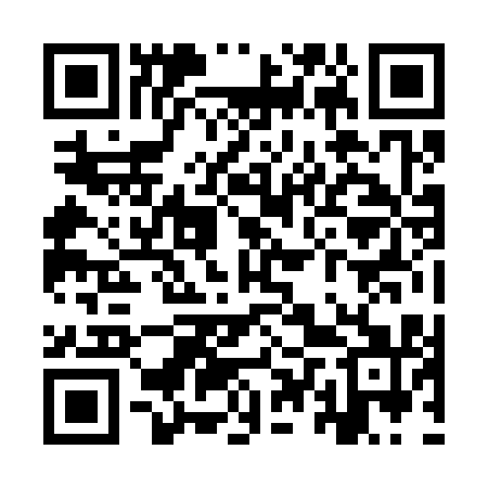 QR code for YTZ311